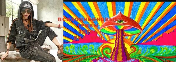 spice Надым