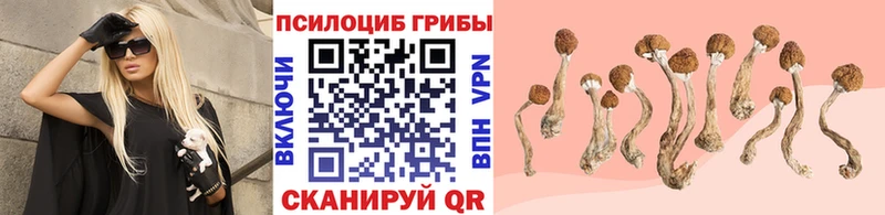 Псилоцибиновые грибы Psilocybine cubensis KRAKEN как зайти Карачаевск