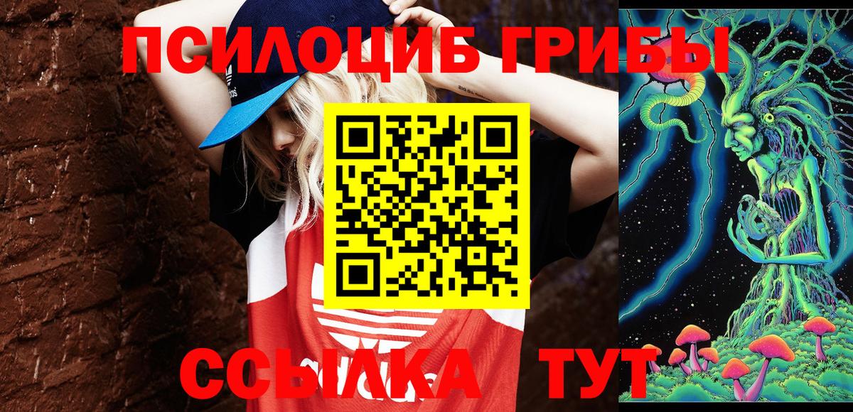 Псилоцибиновые грибы MAGIC MUSHROOMS Карачаевск