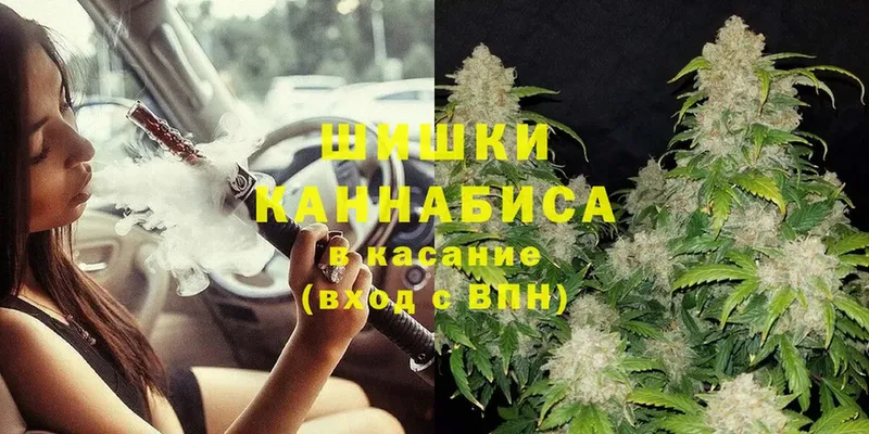 Бошки марихуана SATIVA & INDICA  Карачаевск 